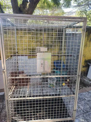 Vende- se um Viveiro Aramado JM