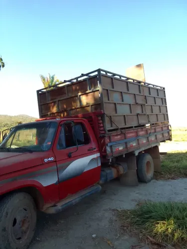 Caminhão D 40