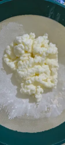 Kefir de Leite 
