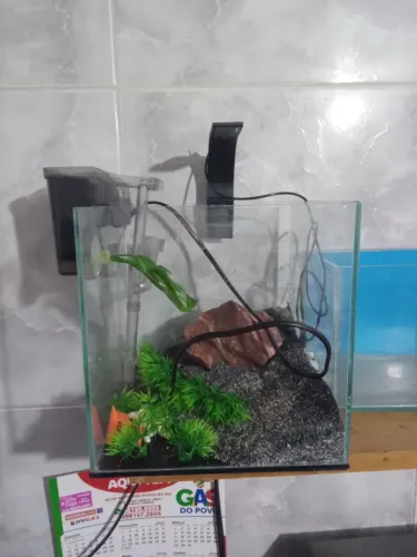 Vendo Aquários