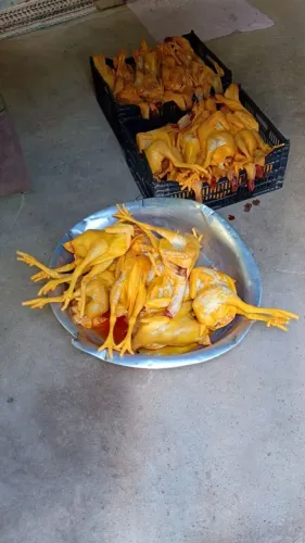 Galinha caipira 