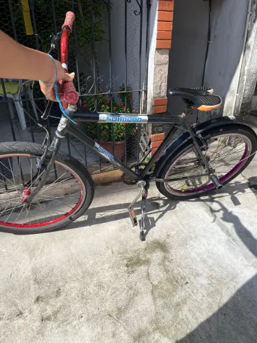 Bicicleta 
