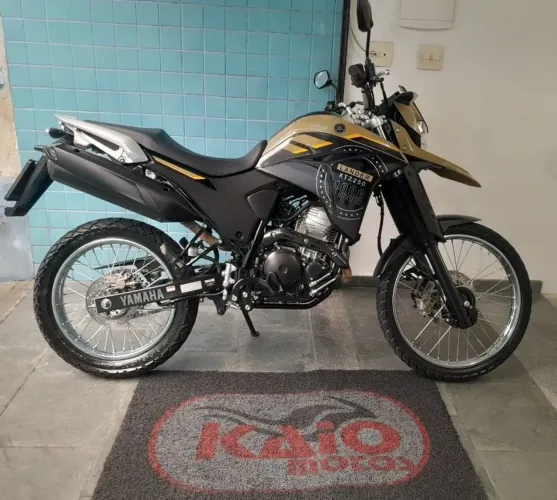 Landerr 250 2023
