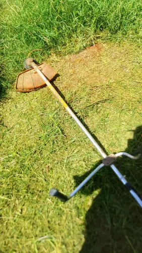 Limpamos quintal, jardinagem básica.