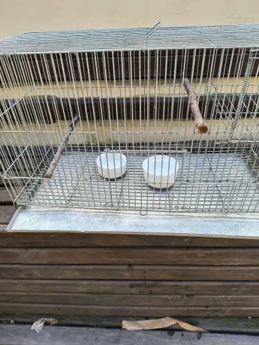 Vendo criadeiras de calopsita ou outras aves