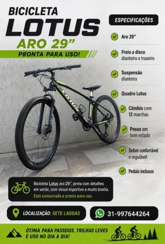 Vendo Bike Lótus Aro 29