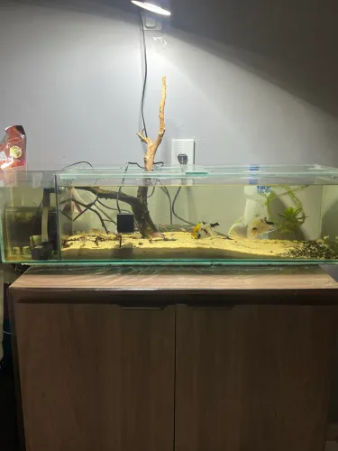 Aquário 60 litros