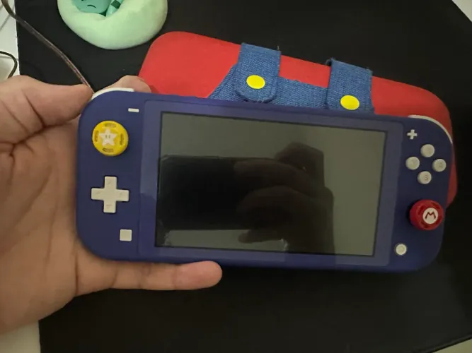 Switch lite
