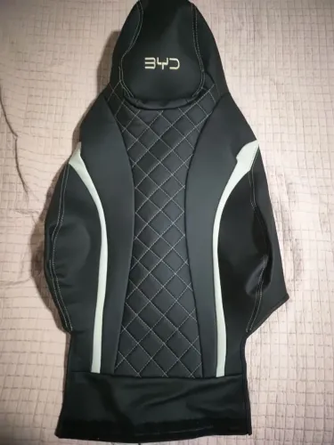 Capa Banco Byd Dolphin