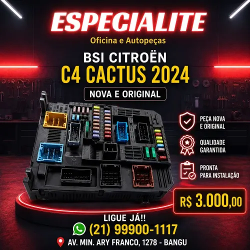BSI Citroën C4 CACTUS Ano: 2024