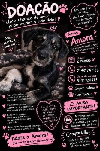 Cadelinha linda e amorosa porte pequeno para médio