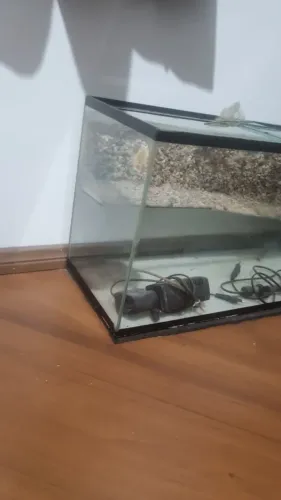 Aquaterrário 100 L Completo - Filtro, Termostato, Aquecedor e Rede
