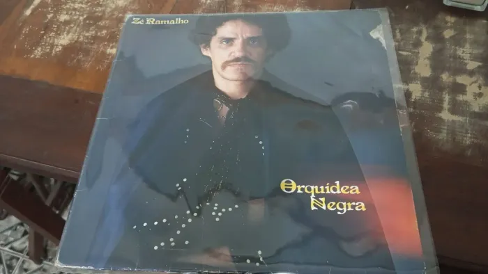 Disco de vinil