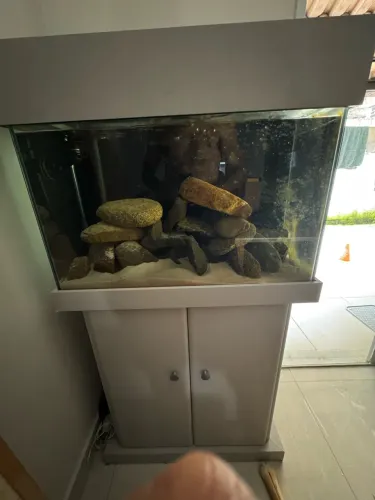 Aquário 100 litros completo