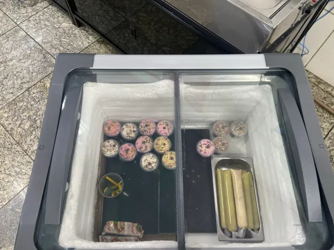 Freezer Metalfrio 180 Litros ideal para sorvetes e Picolés - Conservado