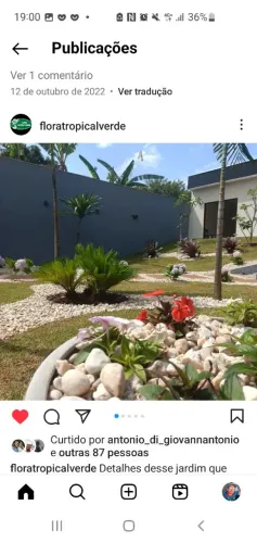 Vc está precisando de um jardineiro fazer um jardim
