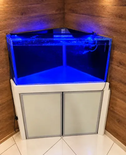 AQUÁRIO 500 LITROS DE CANTO COM MÓVEL +SUMP (LEIA ANÚNCIO) VIDRO COM ÓTIMA ESPESSURA
