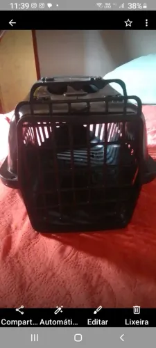 Caixa de transporte para pet