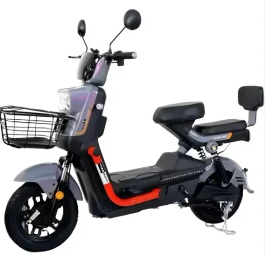Moto Elétrica Ritz Pro 800
