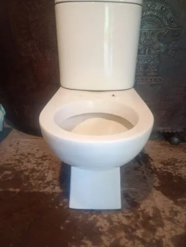 Vaso sanitário com descarga