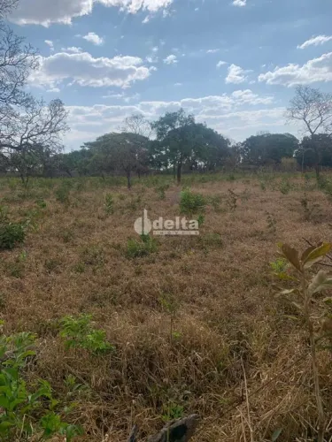 Chácara disponível para venda na Zona Rural de Uberlândia em Uberlândia-MG