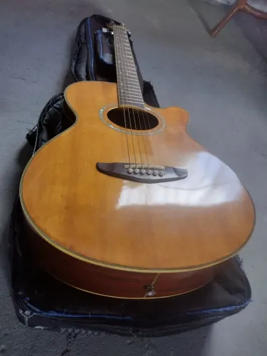 Violão Tagima Dallas 