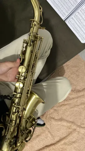 Saxofone Alto Em Mi Bemol Vedo Laqueado