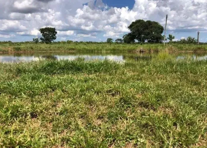 CÓD. 490  FAZENDA DE 1126 HECTARES À VENDA  CAMAPUÃ- MS