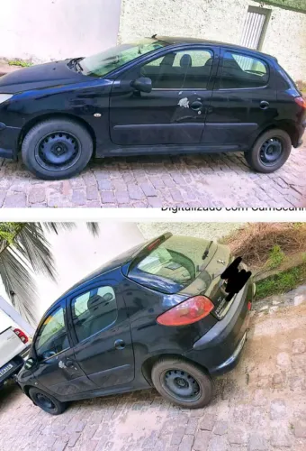 Peugeot 206 Presence 1.4/ 1.4 Flex 8V 5P 2008