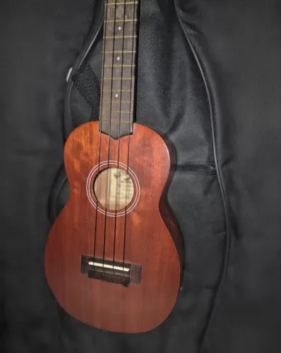 Ukulele Koala