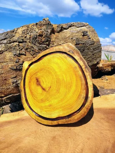 Tábua de corte para churrasco em madeira nobre