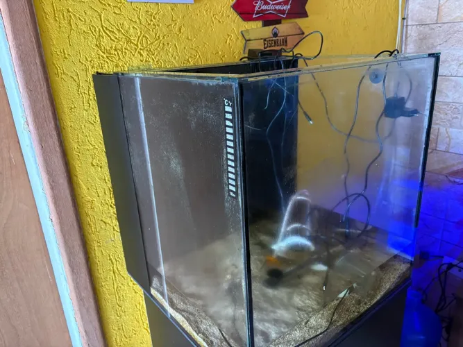 Aquário marinho
