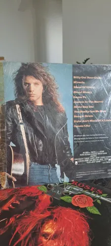 Disco de Vinil Jon Bon Jovi
