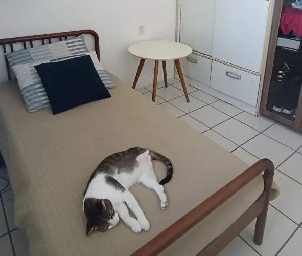 Cama Tok Stok