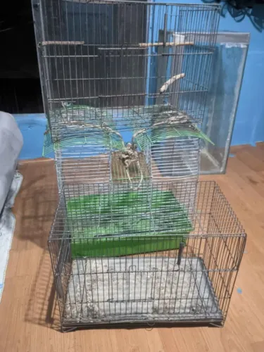vendo gaiolas