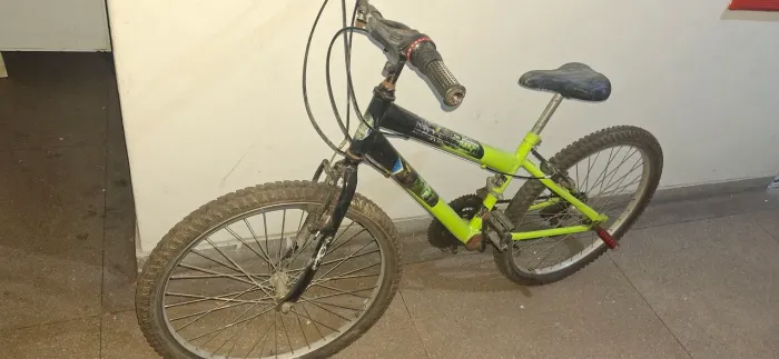 Bicicleta adulto