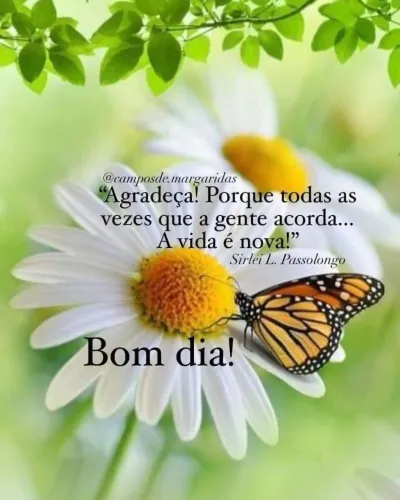 Preciso de uma babá pra morar