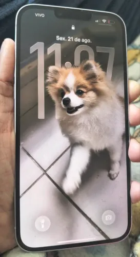 Vendo IPhone 14 Plus