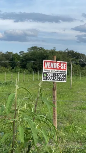 Lote da Felicidade