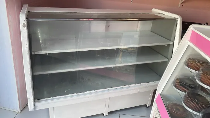 Freezer expositor