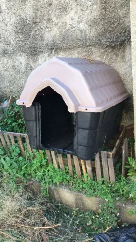 Casinha para cachorro tamanho médio