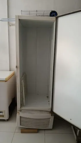 Freezer vertical