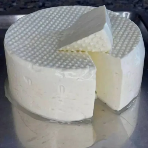 Queijo fresco feito de leite puro de caca delicioso original sem misturas