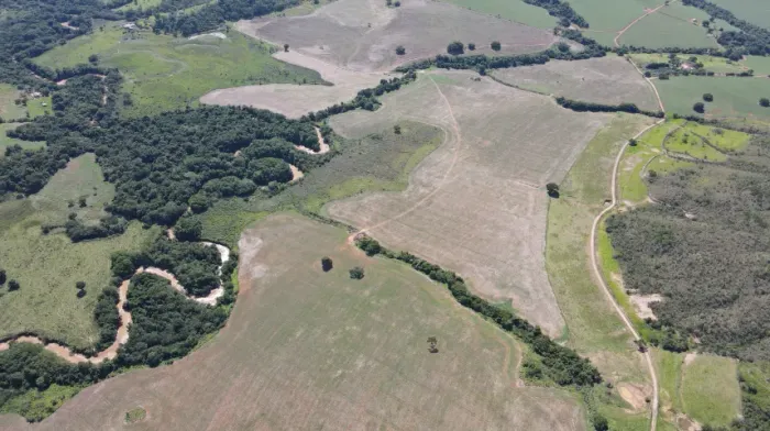 Fazenda 233há em Serra do Salitre/MG planta café, soja e produz gado