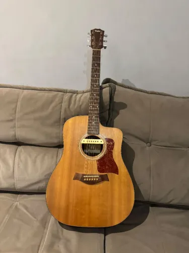 Taylor CE 110