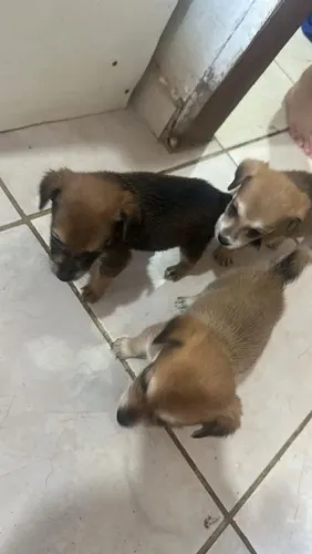 Doação