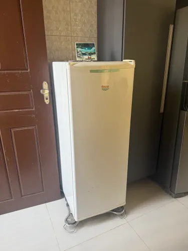 Freezer cônsul
