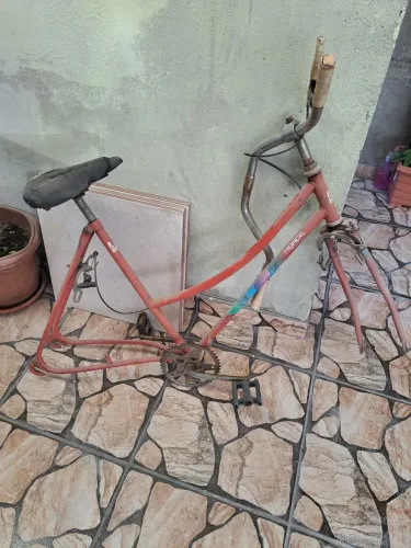 Quadro bicicleta tropical
