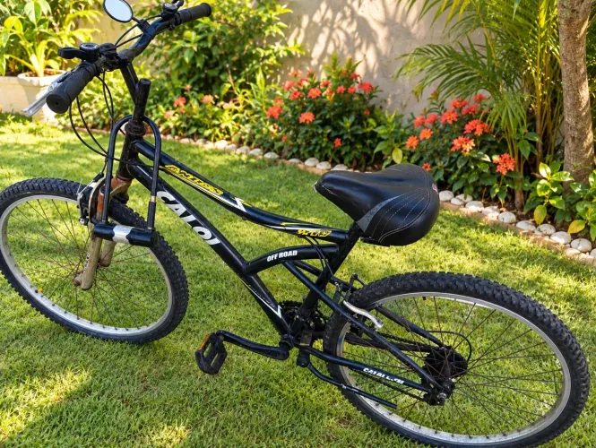 Bicicleta aro 26