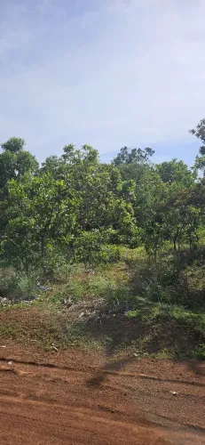 Chácara a 10 km de taquaralto. Vendo ou troco em carro do meu interesse.